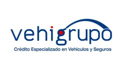 vehigroup